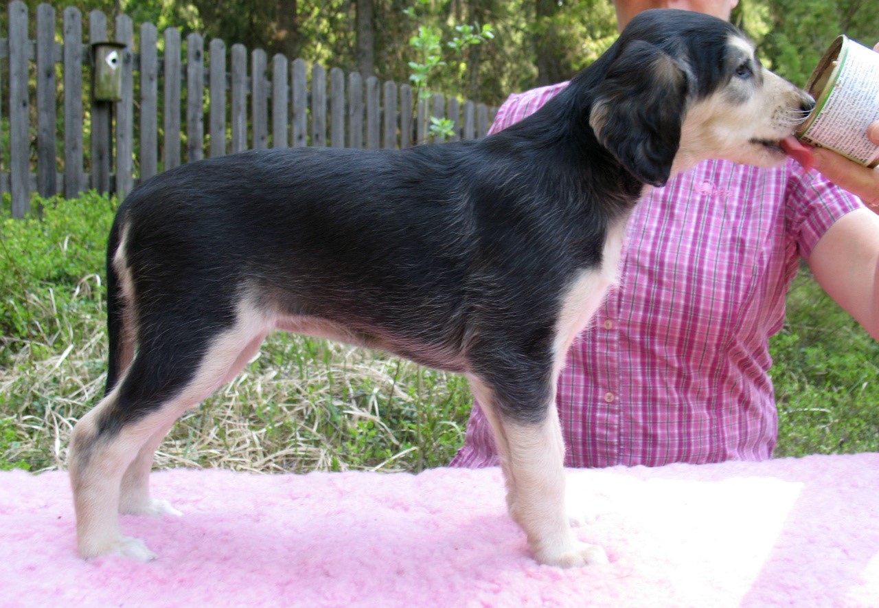 6 weeks